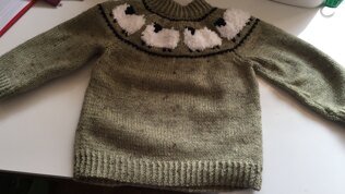 Sheep jumper