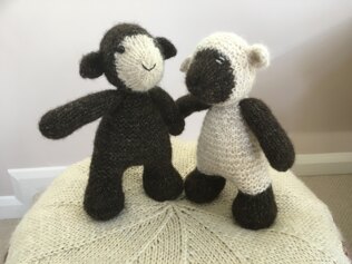 Twin Lambs