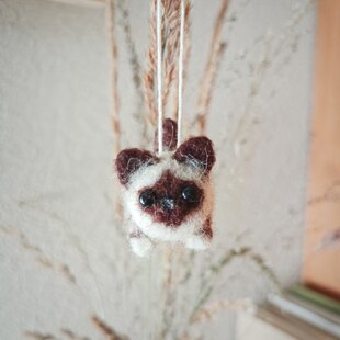 Fabian the mini cat