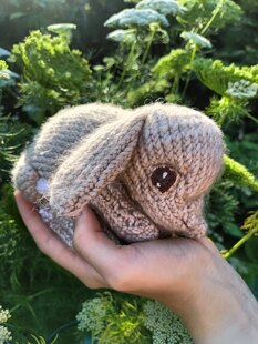 Baby bunny rabbit U⁠^⁠ｪ⁠^⁠U