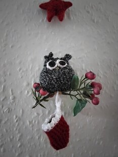 Hopeful owls