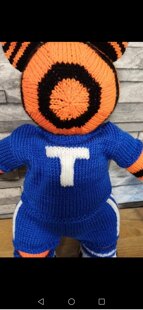 Football tiger