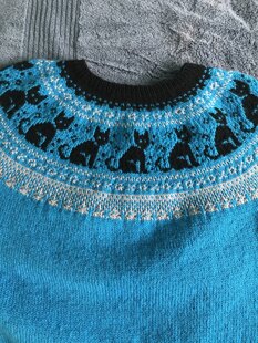 Cat sweater