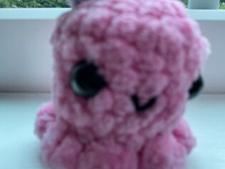 Another octopus
