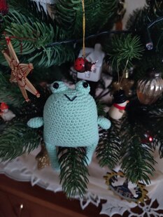 Willie the Frog