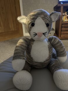 kitty