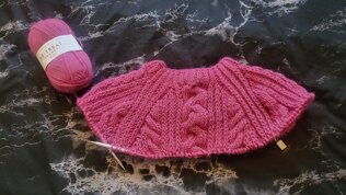 Cables and Brioche Sweater
