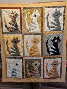 Crazy Cat Quilt 🐱