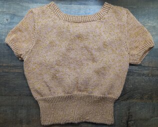 Crop Top Number 2