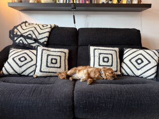 Xanath Cushion Faces