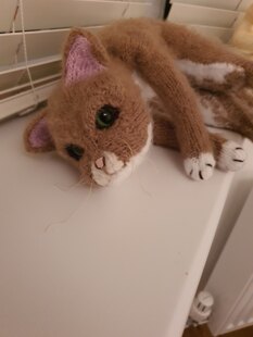 George the Cat