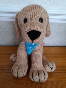 Lola the Labrador