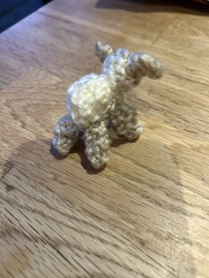 Ai lamb