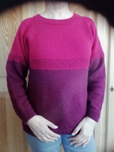 Roter Raglan