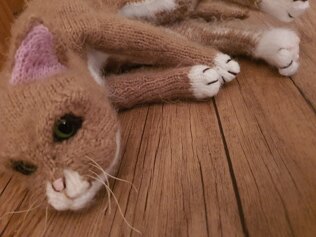 George the Cat