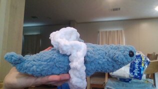 Cute Hammer Head Shark