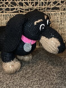 Small Dachshund