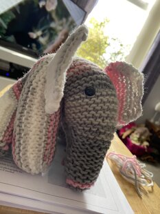 Elephant family