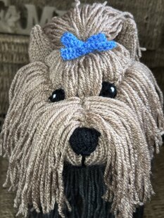 Yorkie