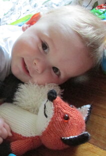 Toy fox