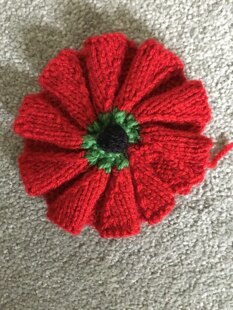 Poppies for church display