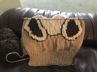Teddy Jumper