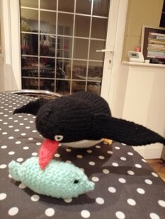 Pingu