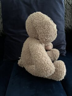 cuddly bunny 