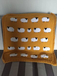 Sheep jumper