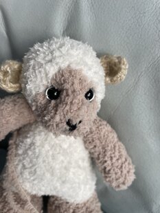 Fluffy Lamb