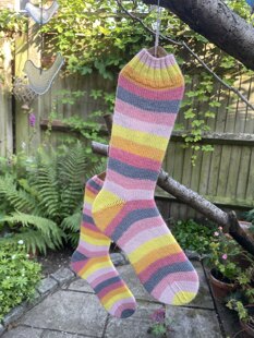 Socks