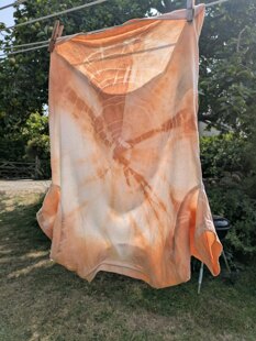 Vegetable dyeing