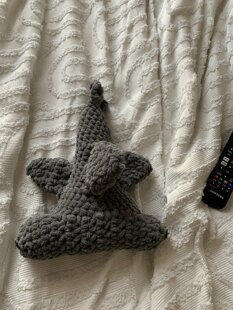 Hammerhead Shark!