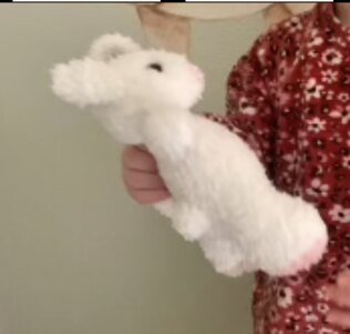 Bunny for Baby in America - delivered safe and sound 💖