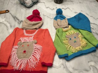 Lion jersey