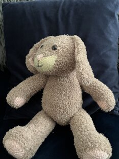 cuddly bunny 
