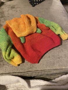 rainbow hoodie