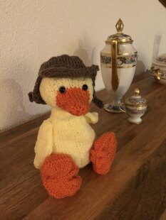 duck