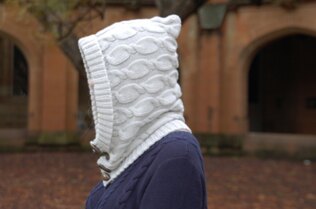 Hoodwinked