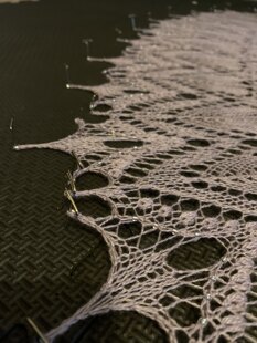 Biophilia lace shawl