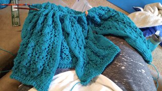 Cece sweater for my sister