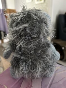 Hedgehog