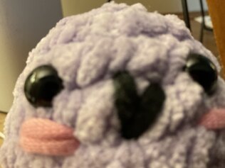 Lavender the octopus