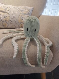 Octopus number 6