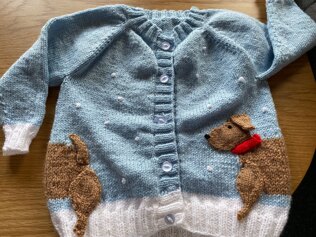 Dachshund Cardigan