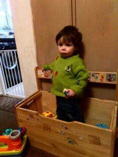 Child's insect jumper