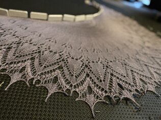 Biophilia lace shawl