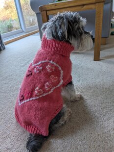 Christmas jumper number two hundred and twenty two