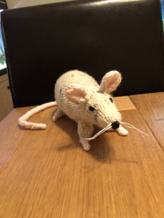 Rats!