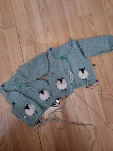 Twin Baby Cardigans